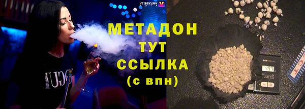 прущие грибы Аркадак