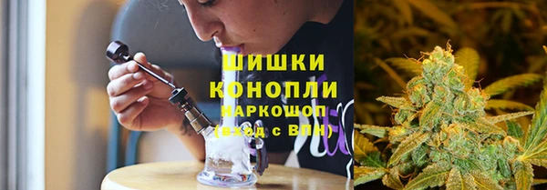 прущие грибы Аркадак