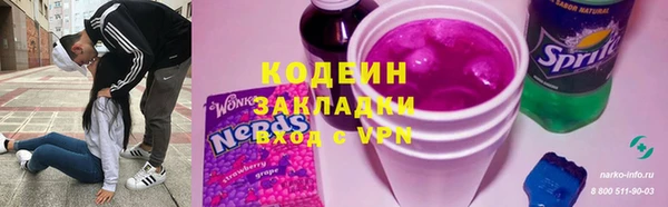 прущие грибы Аркадак