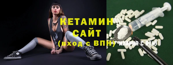 прущие грибы Аркадак