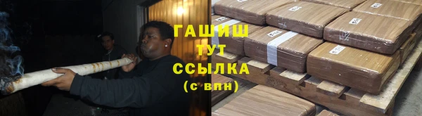 прущие грибы Аркадак
