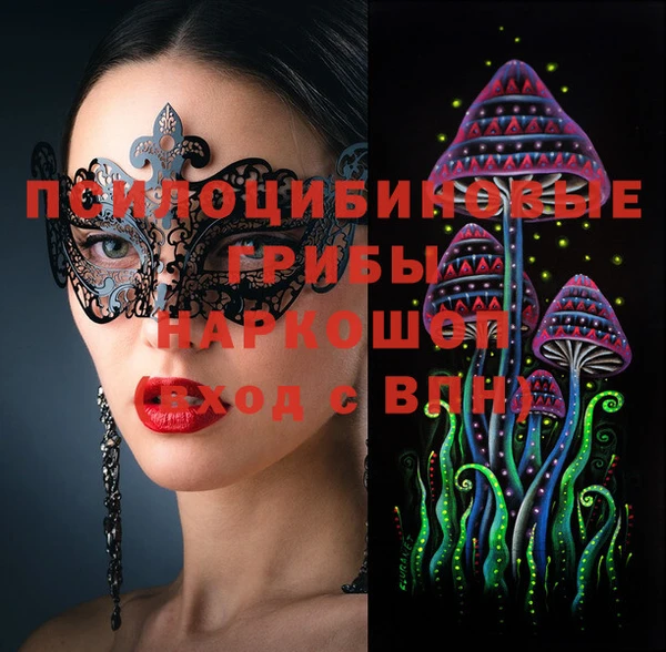прущие грибы Аркадак