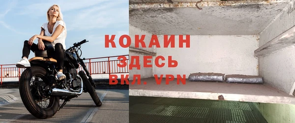 прущие грибы Аркадак