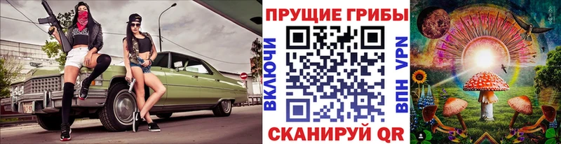 Псилоцибиновые грибы Psilocybe Нытва
